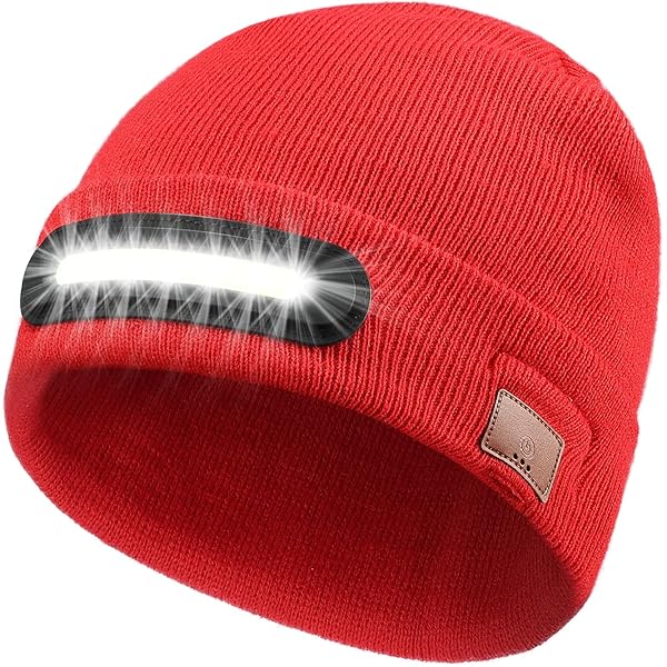 LANEUS/ラネウス　BEANIE Beanies for Men Zigongosaurus Winter Hats for Women Acrylic